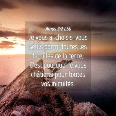 Picture 04 - Amos 3:2 LSG - Je vous ai choisis, vous seuls parmi toutes les - Bible Verse Picture