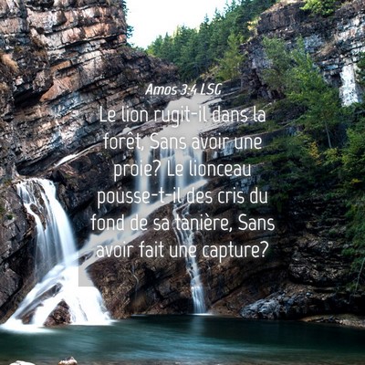 Picture 04 - Amos 3:4 LSG - Le lion rugit-il dans la forêt, Sans avoir une - Bible Verse Picture