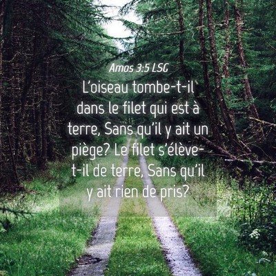 Picture 04 - Amos 3:5 LSG - L'oiseau tombe-t-il dans le filet qui est à - Bible Verse Picture