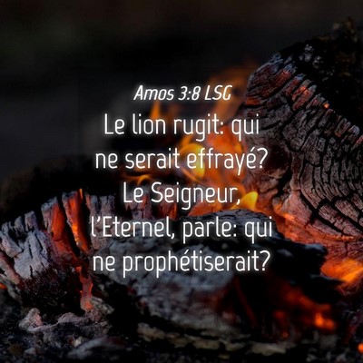 Picture 04 - Amos 3:8 LSG - Le lion rugit: qui ne serait effrayé? Le - Bible Verse Picture