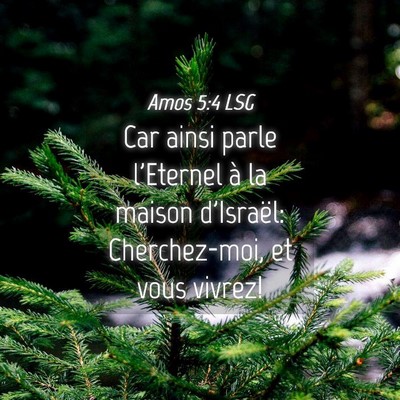 Picture 04 - Amos 5:4 LSG - Car ainsi parle l'Eternel à la maison d'Israël: - Bible Verse Picture