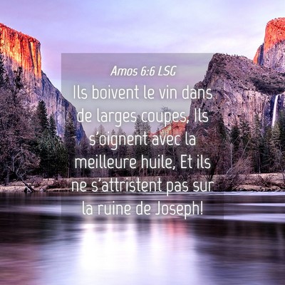 Picture 04 - Amos 6:6 LSG - Ils boivent le vin dans de larges coupes, Ils - Bible Verse Picture