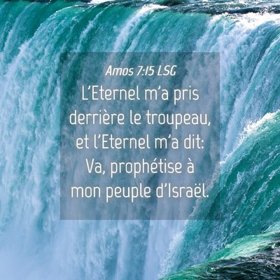 Picture 04 - Amos 7:15 LSG - L'Eternel m'a pris derrière le troupeau, et - Bible Verse Picture