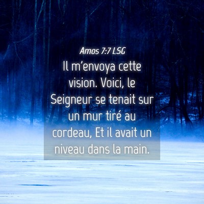 Picture 04 - Amos 7:7 LSG - Il m'envoya cette vision. Voici, le Seigneur se - Bible Verse Picture
