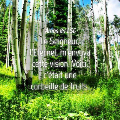 Picture 04 - Amos 8:1 LSG - Le Seigneur, l'Eternel, m'envoya cette vision. - Bible Verse Picture