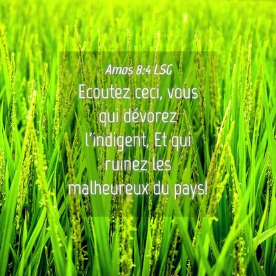 Picture 04 - Amos 8:4 LSG - Ecoutez ceci, vous qui dévorez l'indigent, Et - Bible Verse Picture