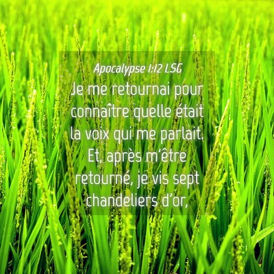 Picture 04 - Apocalypse 1:12 LSG - Je me retournai pour connaître quelle était la - Bible Verse Picture