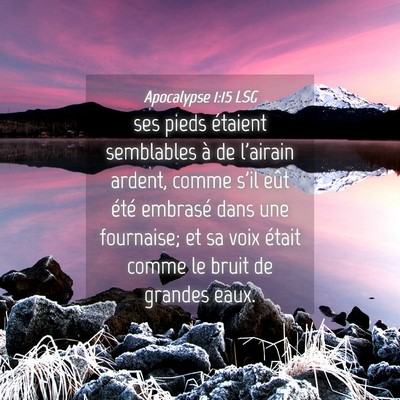 Picture 04 - Apocalypse 1:15 LSG - ses pieds étaient semblables à de l'airain - Bible Verse Picture