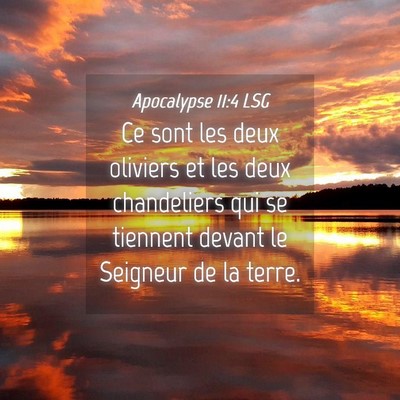 Picture 04 - Apocalypse 11:4 LSG - Ce sont les deux oliviers et les deux chandeliers - Bible Verse Picture