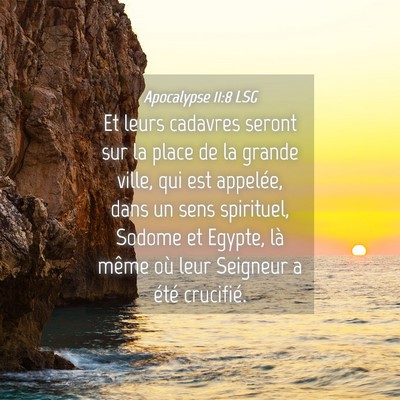 Picture 04 - Apocalypse 11:8 LSG - Et leurs cadavres seront sur la place de la - Bible Verse Picture
