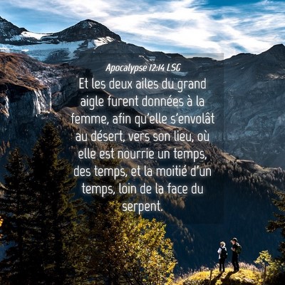 Picture 04 - Apocalypse 12:14 LSG - Et les deux ailes du grand aigle furent données - Bible Verse Picture