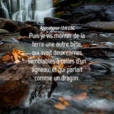 Picture 04 - Apocalypse 13:11 LSG - Puis je vis monter de la terre une autre bête, - Bible Verse Picture