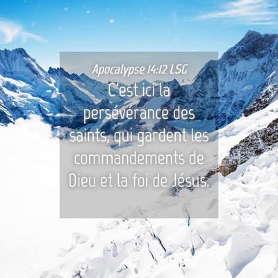 Picture 04 - Apocalypse 14:12 LSG - C'est ici la persévérance des saints, qui - Bible Verse Picture
