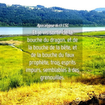 Picture 04 - Apocalypse 16:13 LSG - Et je vis sortir de la bouche du dragon, et de la - Bible Verse Picture