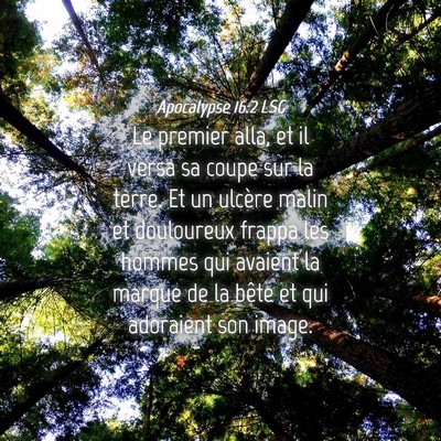 Picture 04 - Apocalypse 16:2 LSG - Le premier alla, et il versa sa coupe sur la - Bible Verse Picture