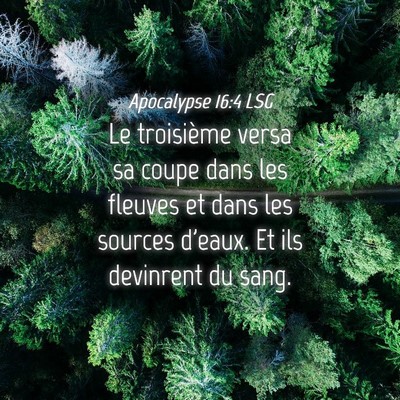 Picture 04 - Apocalypse 16:4 LSG - Le troisième versa sa coupe dans les fleuves et - Bible Verse Picture
