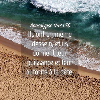 Picture 04 - Apocalypse 17:13 LSG - Ils ont un même dessein, et ils donnent leur - Bible Verse Picture