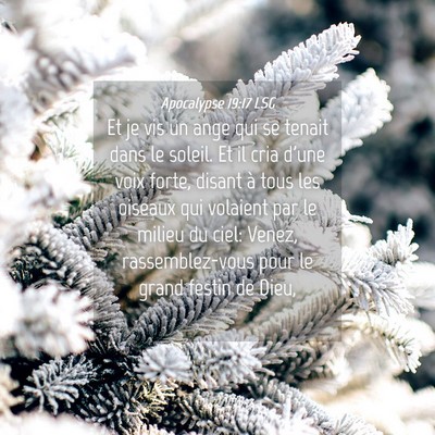 Picture 04 - Apocalypse 19:17 LSG - Et je vis un ange qui se tenait dans le soleil. - Bible Verse Picture