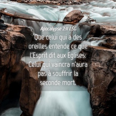 Picture 04 - Apocalypse 2:11 LSG - Que celui qui a des oreilles entende ce que - Bible Verse Picture