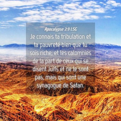 Picture 04 - Apocalypse 2:9 LSG - Je connais ta tribulation et ta pauvreté bien - Bible Verse Picture