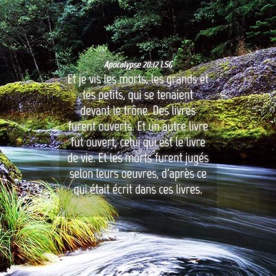 Picture 04 - Apocalypse 20:12 LSG - Et je vis les morts, les grands et les petits, - Bible Verse Picture