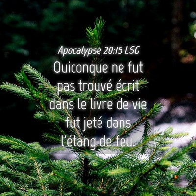 Picture 04 - Apocalypse 20:15 LSG - Quiconque ne fut pas trouvé écrit dans le livre - Bible Verse Picture