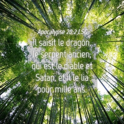 Picture 04 - Apocalypse 20:2 LSG - Il saisit le dragon, le serpent ancien, qui est - Bible Verse Picture