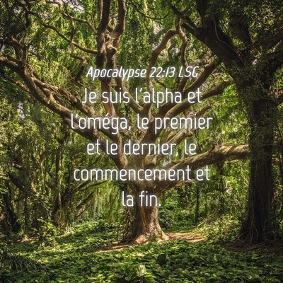 Picture 04 - Apocalypse 22:13 LSG - Je suis l'alpha et l'oméga, le premier et le - Bible Verse Picture