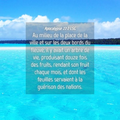 Picture 04 - Apocalypse 22:2 LSG - Au milieu de la place de la ville et sur les deux - Bible Verse Picture