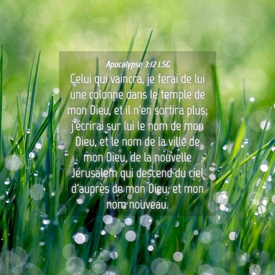 Picture 04 - Apocalypse 3:12 LSG - Celui qui vaincra, je ferai de lui une colonne - Bible Verse Picture