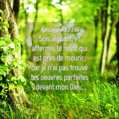 Picture 04 - Apocalypse 3:2 LSG - Sois vigilant, et affermis le reste qui est près - Bible Verse Picture