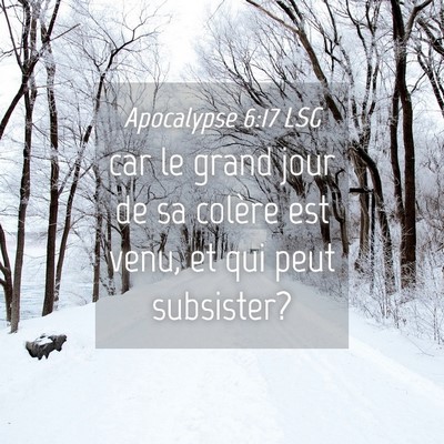 Picture 04 - Apocalypse 6:17 LSG - car le grand jour de sa colère est venu, et qui - Bible Verse Picture