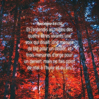 Picture 04 - Apocalypse 6:6 LSG - Et j'entendis au milieu des quatre êtres vivants - Bible Verse Picture