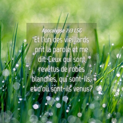 Picture 04 - Apocalypse 7:13 LSG - Et l'un des vieillards prit la parole et me dit: - Bible Verse Picture