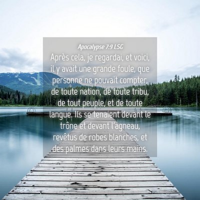 Picture 04 - Apocalypse 7:9 LSG - Après cela, je regardai, et voici, il y avait - Bible Verse Picture