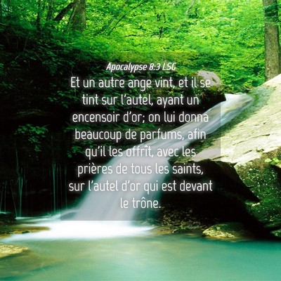 Picture 04 - Apocalypse 8:3 LSG - Et un autre ange vint, et il se tint sur l'autel, - Bible Verse Picture