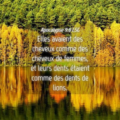 Picture 04 - Apocalypse 9:8 LSG - Elles avaient des cheveux comme des cheveux de - Bible Verse Picture