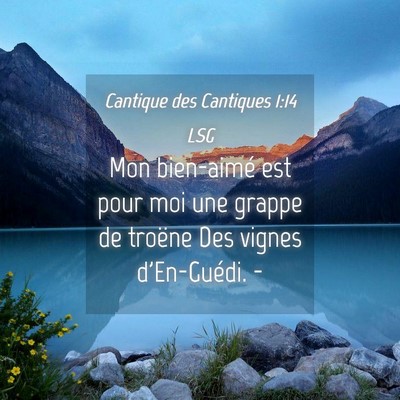 Picture 04 - Cantique des Cantiques 1:14 LSG - Mon bien-aimé est pour moi une grappe de troëne - Bible Verse Picture