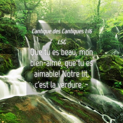 Picture 04 - Cantique des Cantiques 1:16 LSG - Que tu es beau, mon bien-aimé, que tu es - Bible Verse Picture