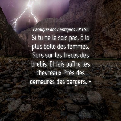 Picture 04 - Cantique des Cantiques 1:8 LSG - Si tu ne le sais pas, ô la plus belle des - Bible Verse Picture
