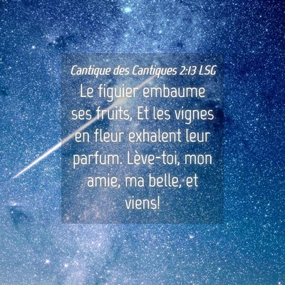 Picture 04 - Cantique des Cantiques 2:13 LSG - Le figuier embaume ses fruits, Et les vignes en - Bible Verse Picture