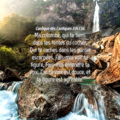 Picture 04 - Cantique des Cantiques 2:14 LSG - Ma colombe, qui te tiens dans les fentes du - Bible Verse Picture