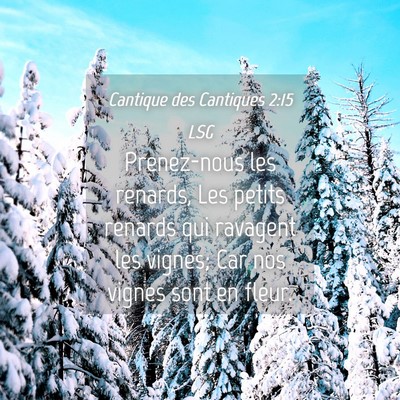 Picture 04 - Cantique des Cantiques 2:15 LSG - Prenez-nous les renards, Les petits renards qui - Bible Verse Picture