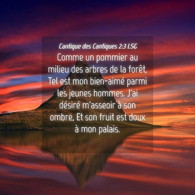 Picture 04 - Cantique des Cantiques 2:3 LSG - Comme un pommier au milieu des arbres de la - Bible Verse Picture