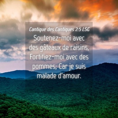 Picture 04 - Cantique des Cantiques 2:5 LSG - Soutenez-moi avec des gâteaux de raisins, - Bible Verse Picture