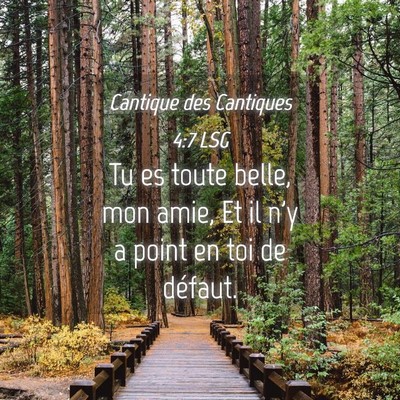 Picture 04 - Cantique des Cantiques 4:7 LSG - Tu es toute belle, mon amie, Et il n'y a point en - Bible Verse Picture