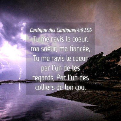 Picture 04 - Cantique des Cantiques 4:9 LSG - Tu me ravis le coeur, ma soeur, ma fiancée, Tu - Bible Verse Picture