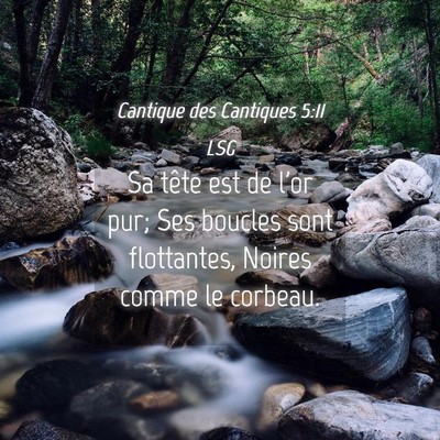 Picture 04 - Cantique des Cantiques 5:11 LSG - Sa tête est de l'or pur; Ses boucles sont - Bible Verse Picture