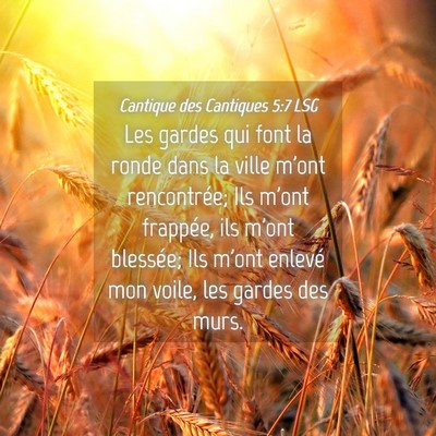 Picture 04 - Cantique des Cantiques 5:7 LSG - Les gardes qui font la ronde dans la ville m'ont - Bible Verse Picture