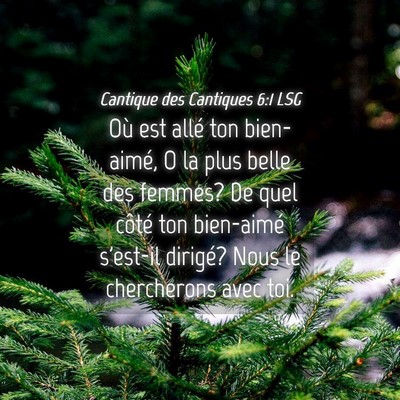 Picture 04 - Cantique des Cantiques 6:1 LSG - Où est allé ton bien-aimé, O la plus belle des - Bible Verse Picture